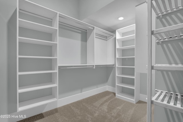 spacious closet featuring carpet