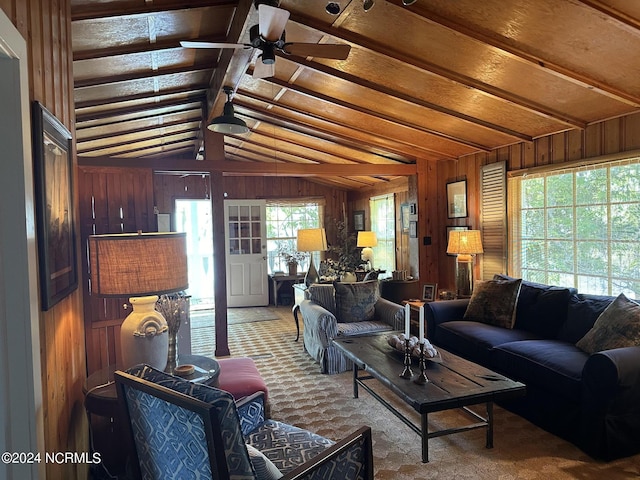 living room featuring a healthy amount of sunlight and wooden walls