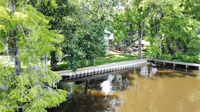 dock area with a water view