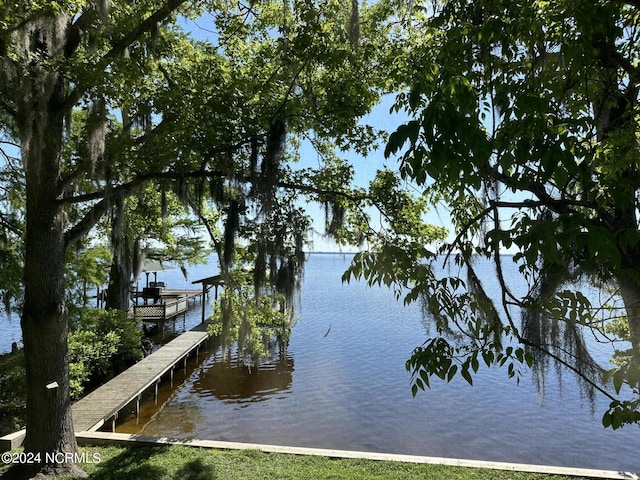 dock area with a water view