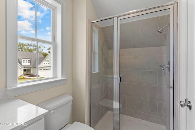 full bath featuring vanity, toilet, and a shower stall