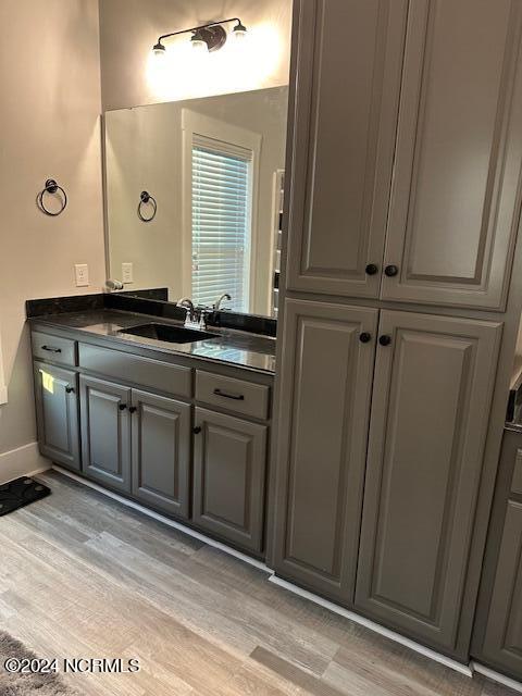 bathroom featuring wood-type flooring and vanity