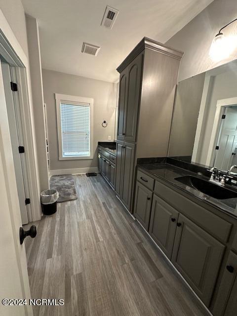 bathroom with wood-type flooring and vanity