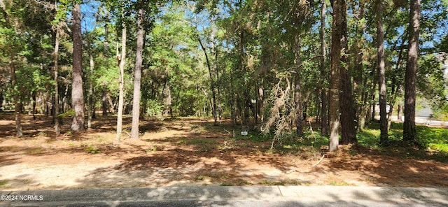 Listing photo 2 for 672 N Seascape Blvd SW, Supply NC 28462