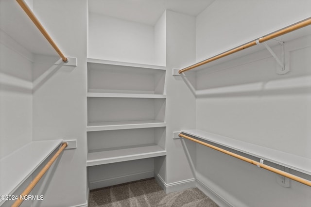 walk in closet with carpet floors