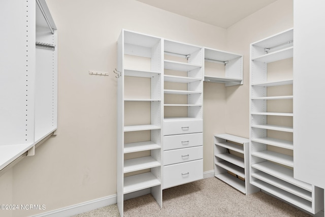 spacious closet with carpet floors