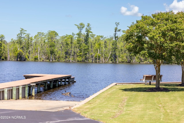 404 Plumtree Cir Unit 207, Edenton, NC 27932