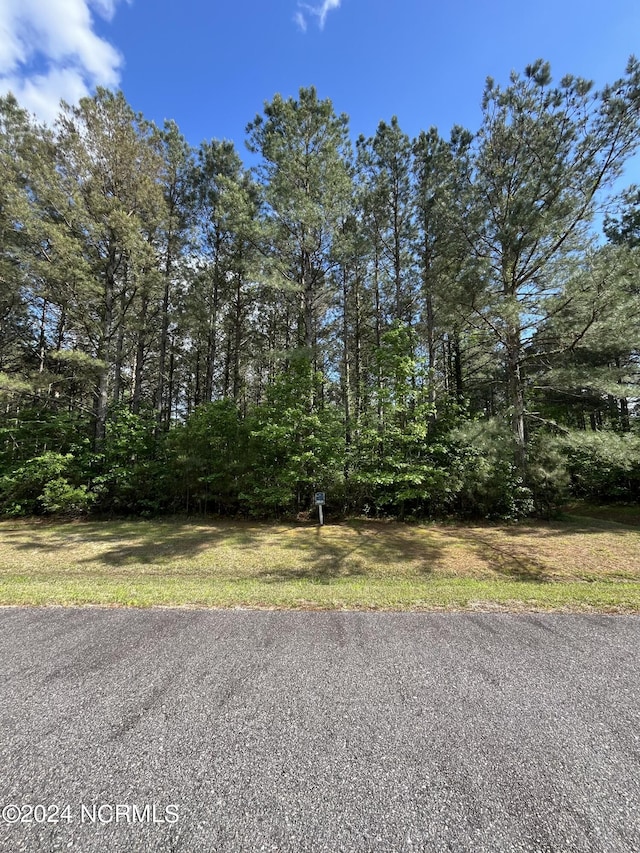 404 Plumtree Cir Unit 207, Edenton, NC 27932
