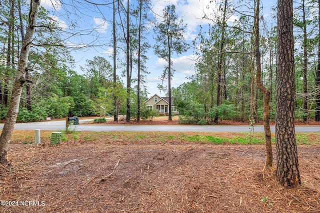 Listing photo 3 for 6015 Falcon Dr Lot 10, Oriental NC 28571