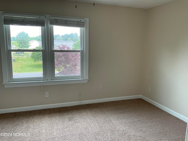 carpeted empty room featuring a healthy amount of sunlight