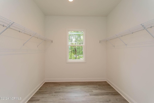 walk in closet with wood finished floors