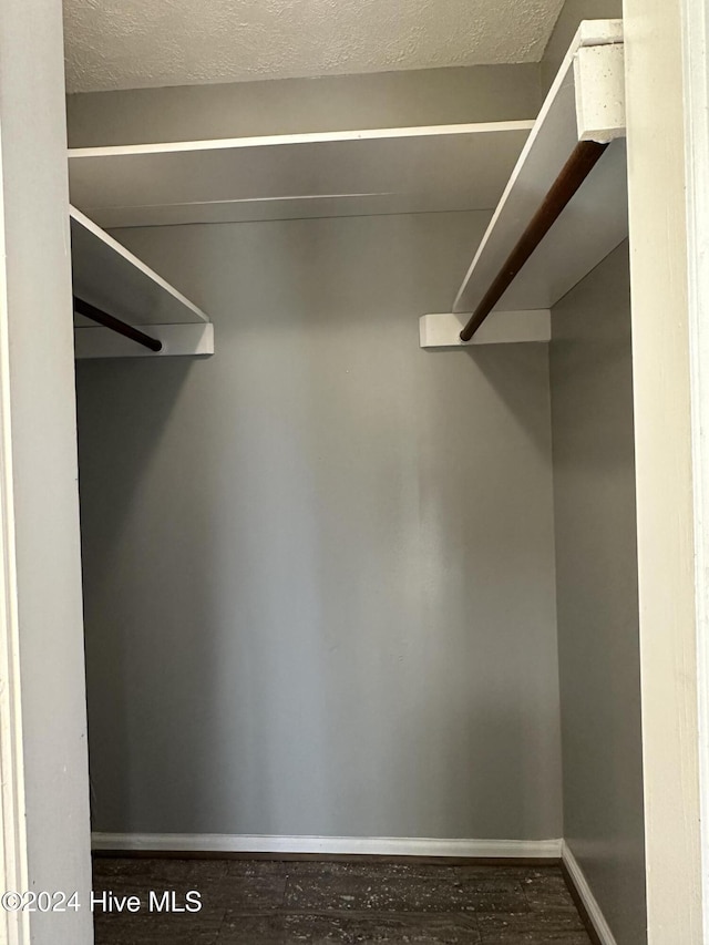 spacious closet featuring dark wood-type flooring