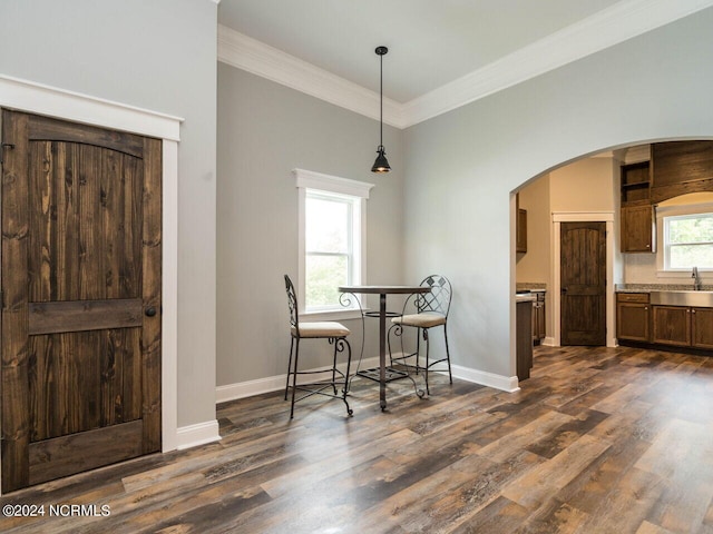 dining space with dark hardwood / wood-style floors, ornamental molding, and sink