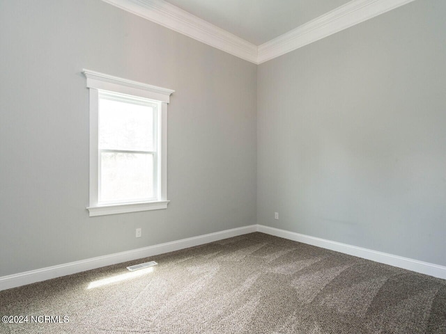 empty room featuring carpet and ornamental molding