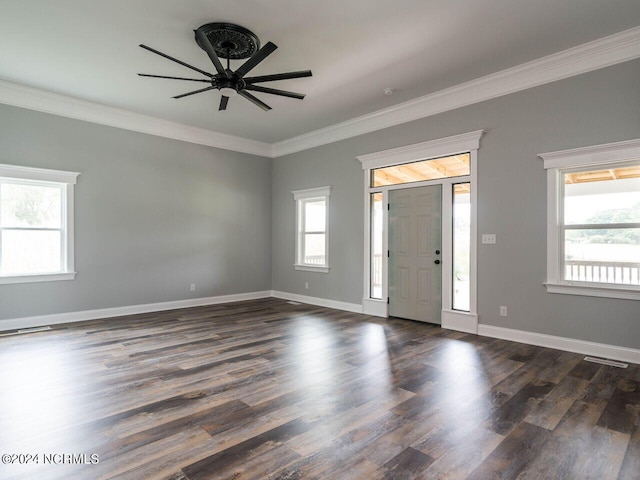 entrance foyer featuring ceiling fan, dark wood-type flooring, and ornamental molding