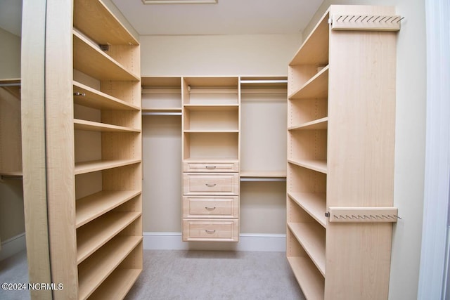 walk in closet featuring light colored carpet