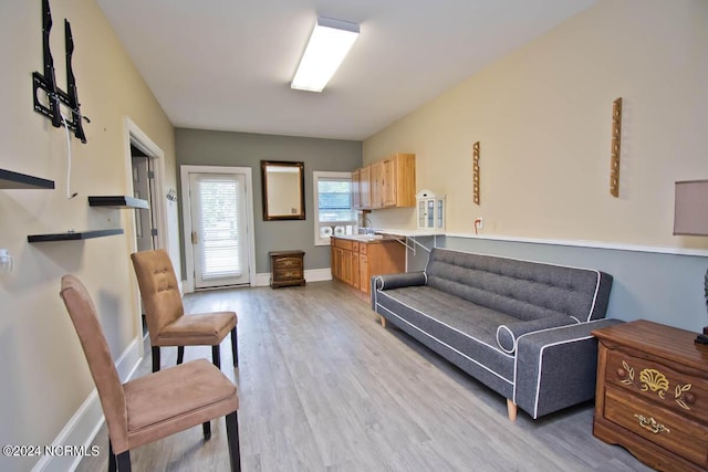 living room featuring light hardwood / wood-style flooring