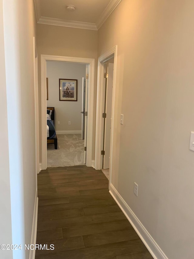 corridor featuring dark wood-type flooring and crown molding