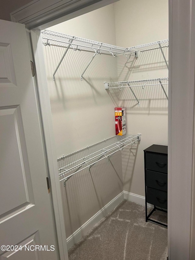 spacious closet featuring carpet floors