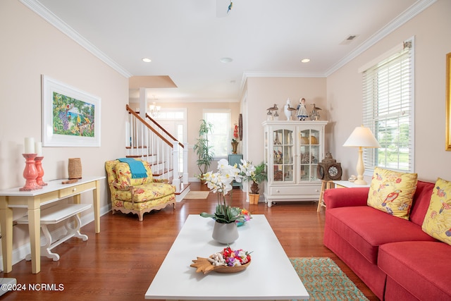 living room featuring dark hardwood / wood-style flooring, crown molding, and an inviting chandelier