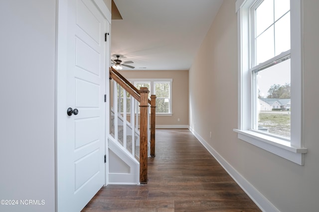 corridor featuring dark hardwood / wood-style flooring