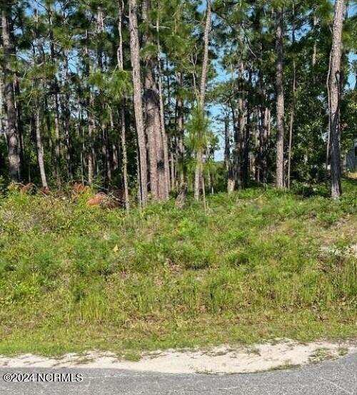 557 Lumbee Rd, Southport NC, 28461 land for sale