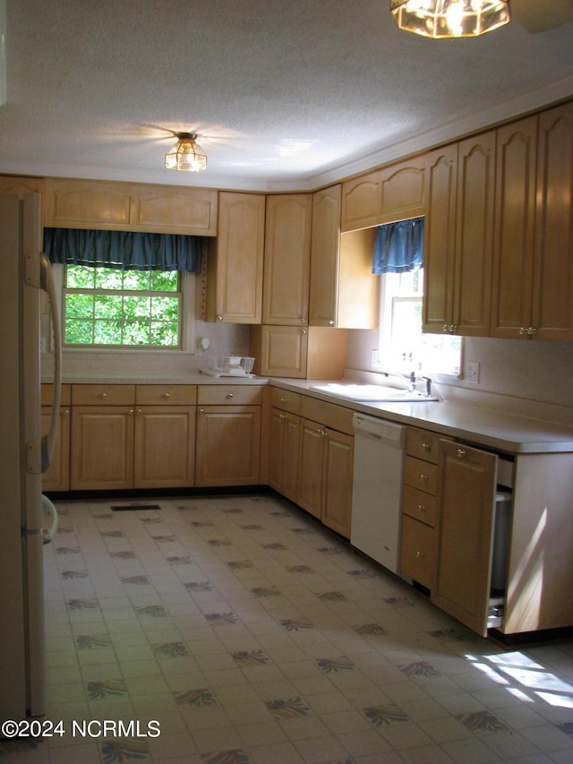 kitchen with a textured ceiling, light brown cabinetry, sink, and white appliances