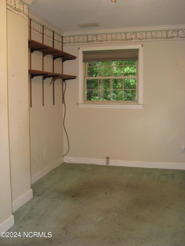 empty room featuring light colored carpet and ornamental molding