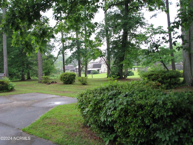 surrounding community featuring a yard