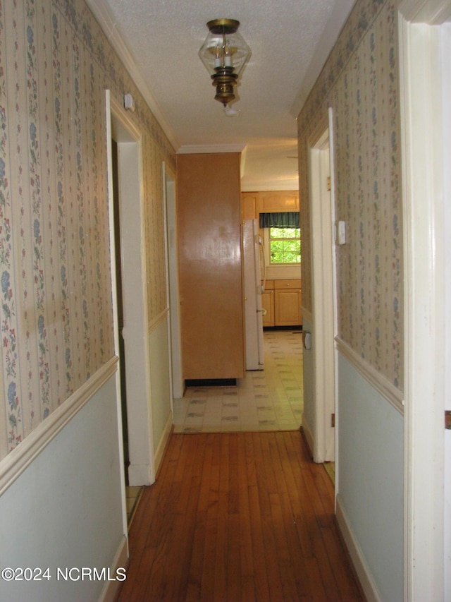 corridor with a textured ceiling, crown molding, and light hardwood / wood-style flooring