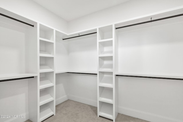 walk in closet with light colored carpet