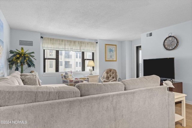 living room featuring a textured ceiling and hardwood / wood-style floors