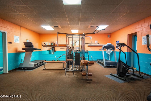 exercise room featuring carpet