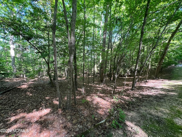 LOT61 Palomino Rd Unit 61, Carthage NC, 28327 land for sale