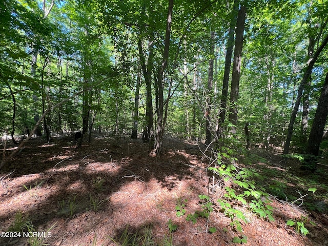 Listing photo 3 for LOT61 Palomino Rd Unit 61, Carthage NC 28327