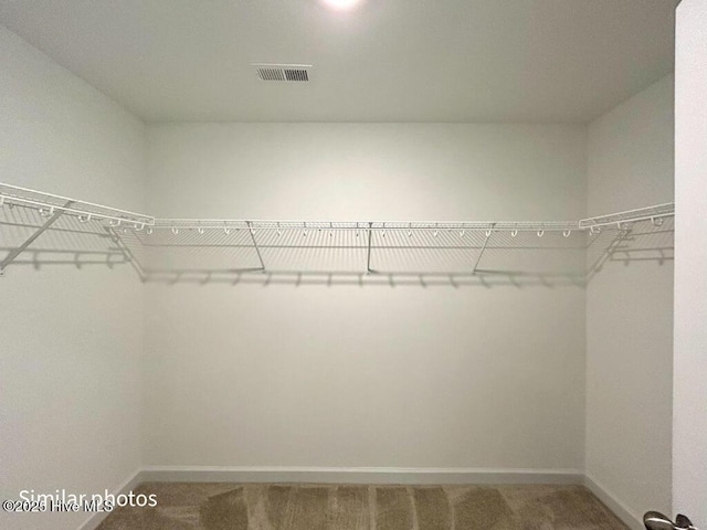 walk in closet featuring carpet flooring