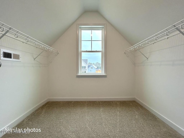 spacious closet featuring carpet floors and lofted ceiling