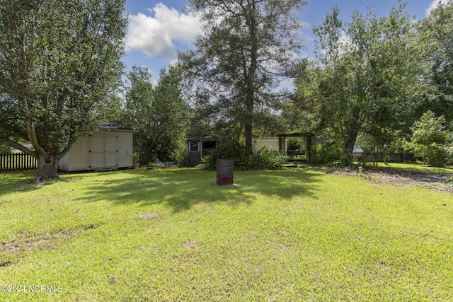 view of yard with a storage shed and an outbuilding