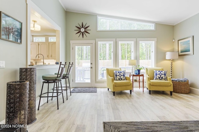living area featuring wood finished floors, baseboards, and ornamental molding