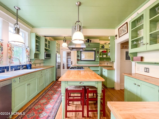 kitchen with hanging light fixtures, appliances with stainless steel finishes, sink, and butcher block counters