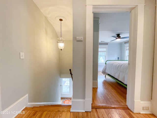 corridor with hardwood / wood-style flooring