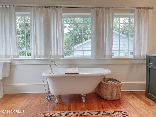 bathroom with a bathtub, hardwood / wood-style flooring, and vanity