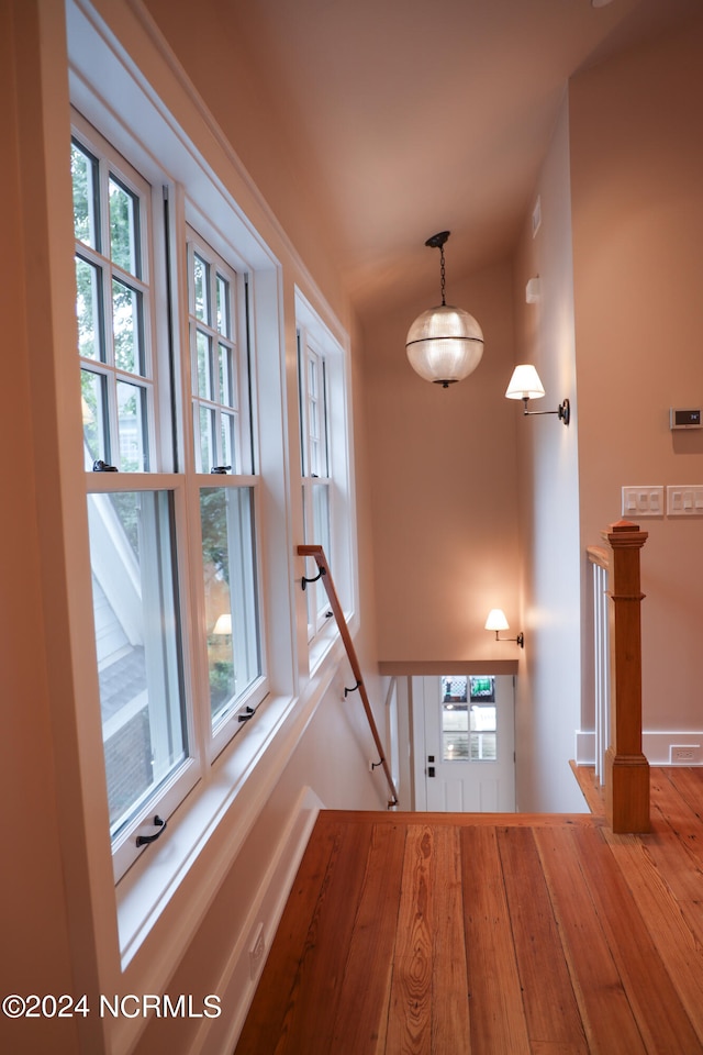 hallway featuring a healthy amount of sunlight and wood-type flooring