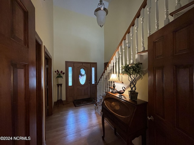 entrance foyer with dark hardwood / wood-style flooring and a high ceiling