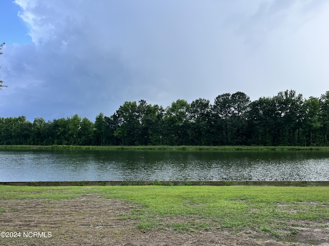 water view with a view of trees