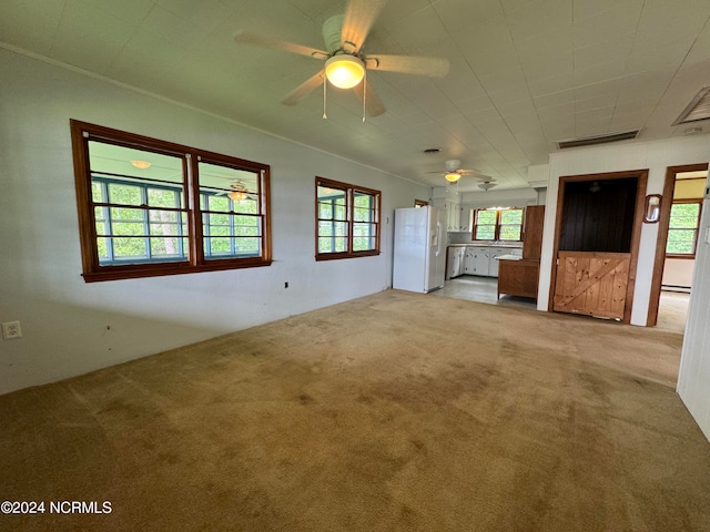 empty room with ceiling fan and carpet floors