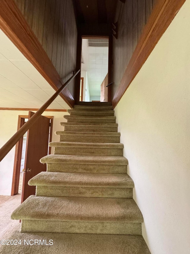 staircase featuring carpet flooring