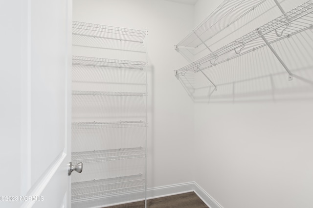 walk in closet featuring hardwood / wood-style flooring