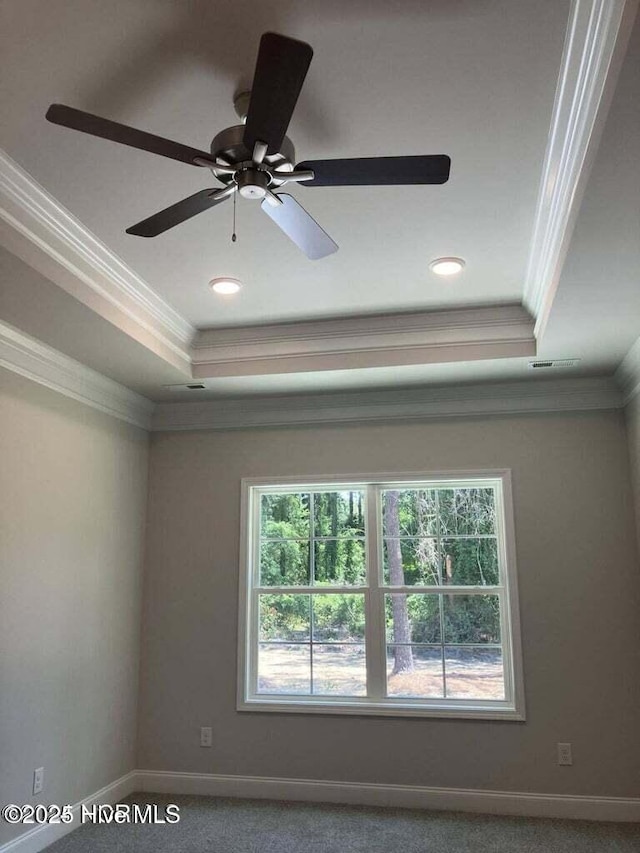 spare room featuring carpet flooring, ornamental molding, and a tray ceiling