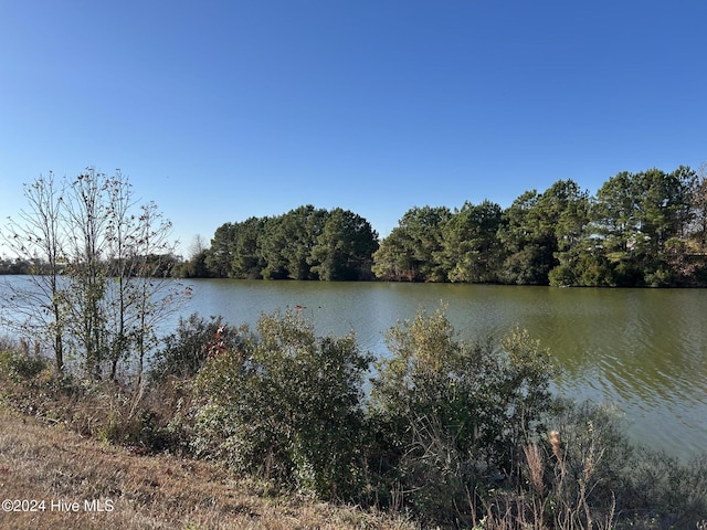 LOT8 Blue Heron Blvd Unit 8, New Hope, NC 27944